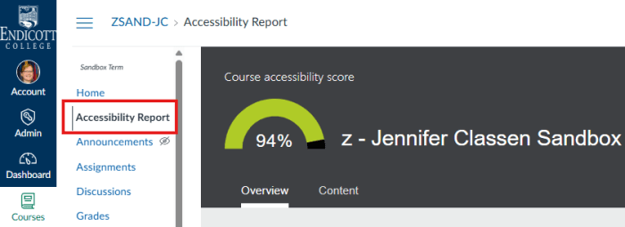 Screenshot of Canvas Accessibility Score of 94% for an Example course.
