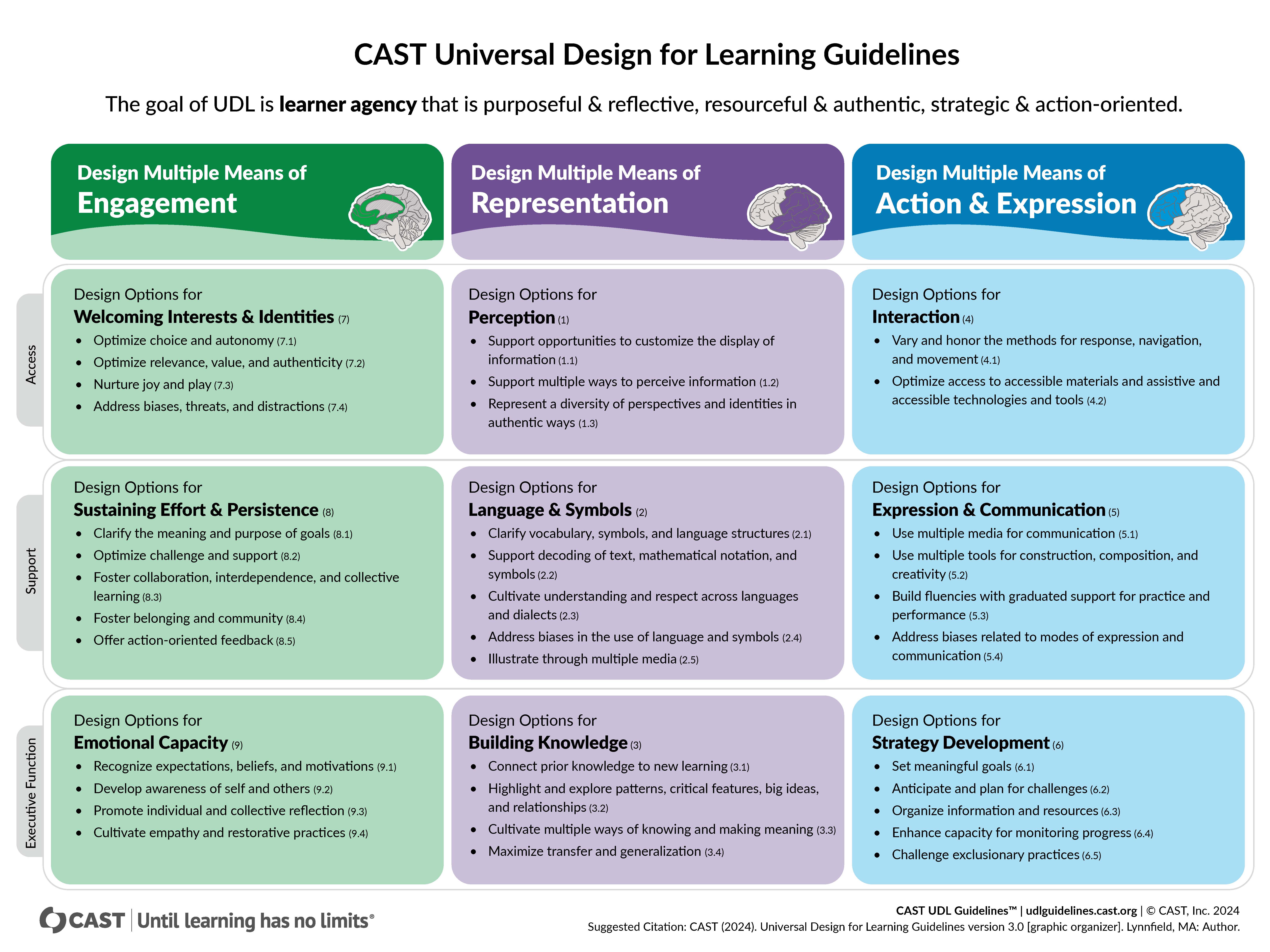CAST Universal Design for Learning Guidelines with recommendations across three columns of Engagement, Representation, and Action & Expression; and across three rows of Access, Support, and Executive Function.